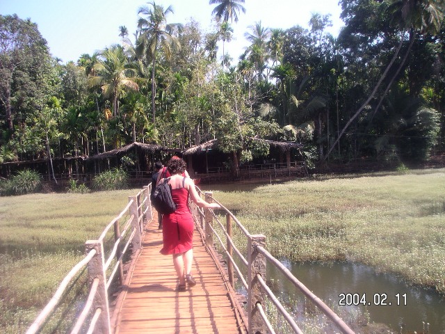 Indien 076.jpg